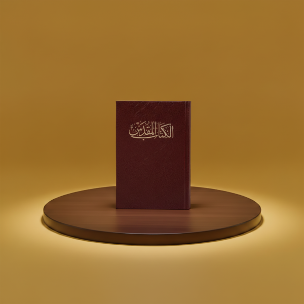 الكتاب المقدس الدومنيكي