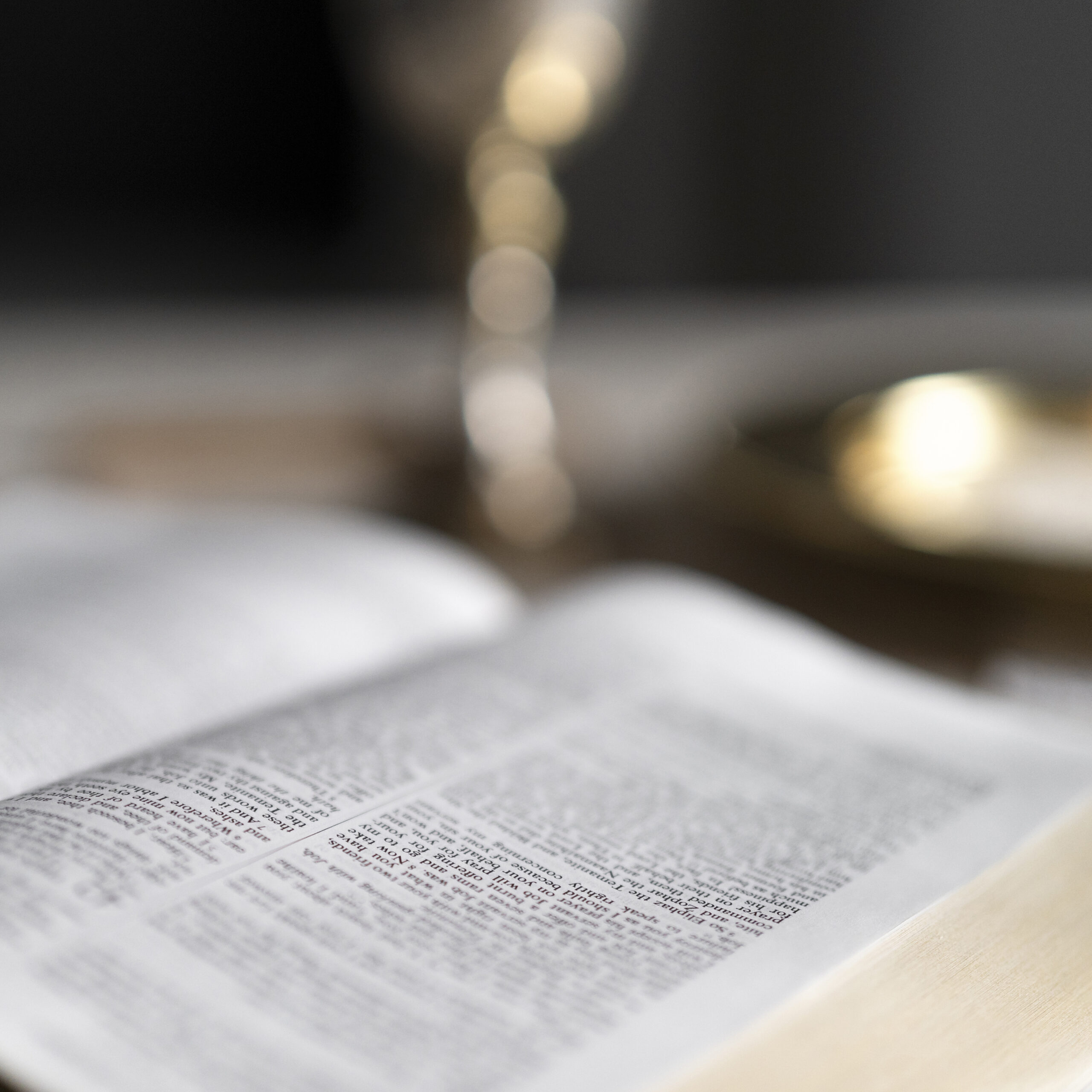 الخلق والتطور